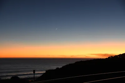 DSC_2568 (Large).JPG